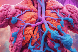 Pneumonia Overview and Treatment Quiz