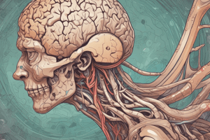 Physiologic Anatomy of Cerebral Cortex