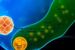 Cellular Respiration and Glycolysis