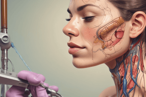 Skin Examination and Anatomy