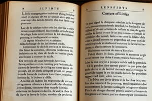 Literatura Española: Mester de Juglaría y Clerecía