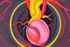 Fetal Circulation and Structures