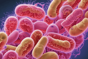 Escherichia coli (E.coli) Characteristics Quiz