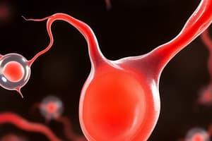 Spermatogenesis and Oogenesis