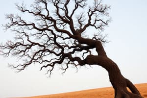 El árbol de la ciencia - Análisis