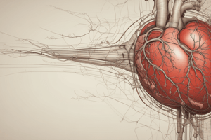 Ninja Nerd - Circulatory System | Liver Circulation Model