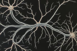 Nervous System: Stimuli and Reaction