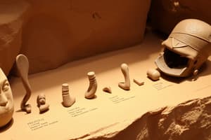 Human Origins and Tools Quiz