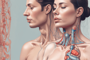 Thyroid Gland Palpation Procedure