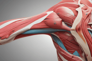 Terminology: Shoulder Musculoskeletal Conditions