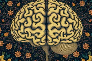 Introduction à la psychologie : Le cerveau et le dualisme