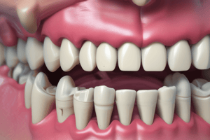 Periodontal Ligament (PDL) Structure and Function