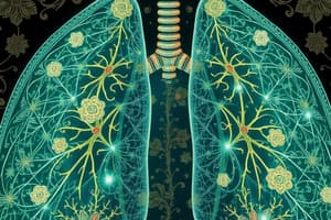 Respiration Functional Events Quiz