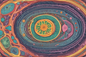 Eukaryotic Cells and Organelles Quiz