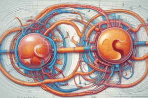 Kidney Metabolism Chapter