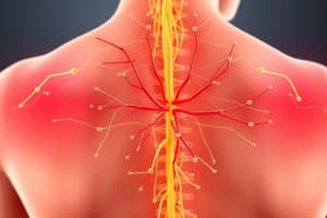 Assessing Pain in Nociceptive Pain