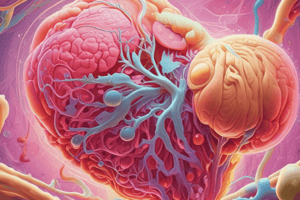 Urinary System Overview