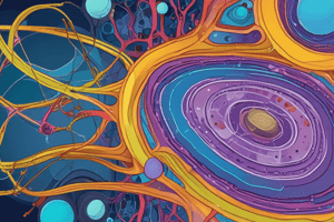 Cell Membrane Permeability