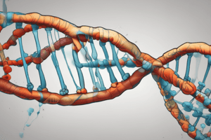 Molecular Biology: DNA Repair and Mutations