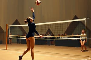 Volleyball Measurements and Terminology