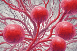 Blood Vessel Endothelium Function