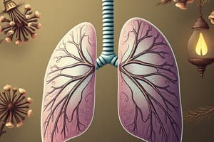 Respiratory System Pharmacology Flashcards