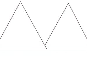 Congruent Triangles Quiz