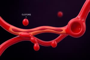 Clotting Cascade Overview