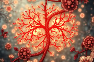 Metabolism and Cellular Respiration Overview