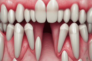 Dental Lesions and Abrasion