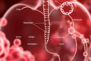 Biology Chapter 5 Quiz