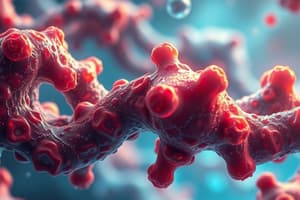 Biochemistry Quiz: Enzymes and Catalysts