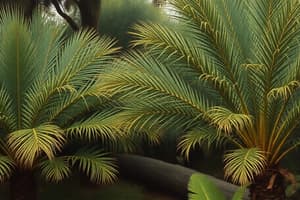 Gymnosperms - Cycadales Overview