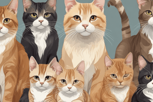 Cat Breeds Trivia