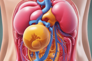 Urinary System Chapter 25.1: Physical Characteristics of Urine Quiz