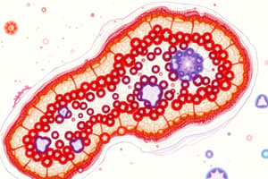 Métodos de Estudio en Histología