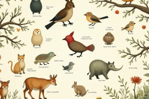 Ecology: Food Chains and Food Webs