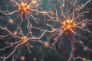 Neurons and Neural Communication