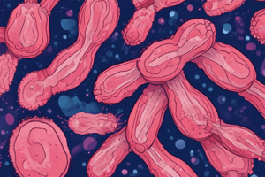 Sarcoidosis Pathogenesis Quiz