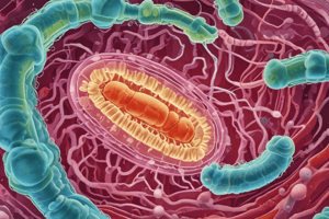 E. coli Adhesion and Pathogenicity