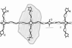 Système Ligand-Récepteur: biologie cellulaire