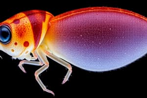 SO1BIO4-6Classification of Living Things