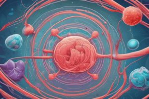 Umbilical Cord Blood Stem Cells