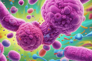 Antibiotic Action Mechanisms & Selection Factors Quiz