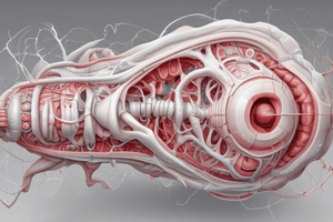 Human Anatomy: Cartilage Structure