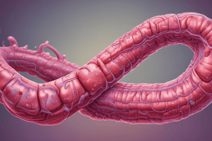 Megadolicocolonul și boli inflamatorii intestinale