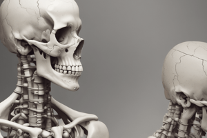 Bone Tumors: Systematic Approach Quiz