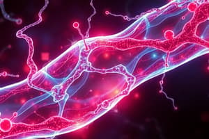 Muscle Contraction Mechanism Quiz