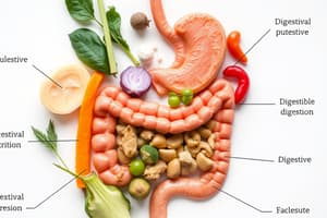 Holism in Nutrition and Body Digestive Processes