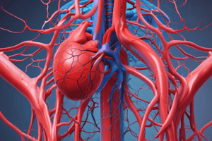 Cardiovascular System